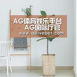 产品名称六(图1)