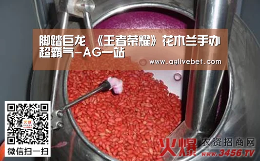 脚踏巨龙 《王者荣耀》花木兰手办超霸气-AG一站(图1) AG内容