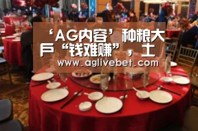 AG内容