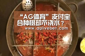 AG一站
