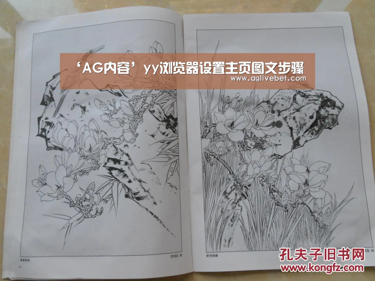 ‘AG内容’yy浏览器设置主页图文步骤(图2) AG国际