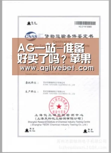 AG一站
