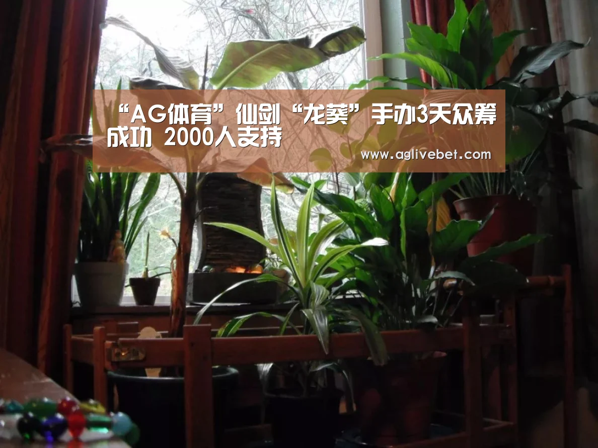 “AG体育”仙剑“龙葵”手办3天众筹成功 2000人支持(图3) AG国际