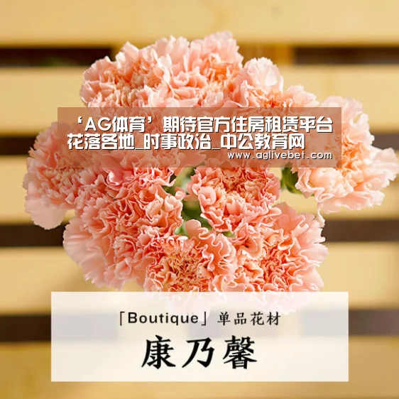 ‘AG体育’期待官方住房租赁平台花落各地_时事政治_中公教育网(图2) AG一站