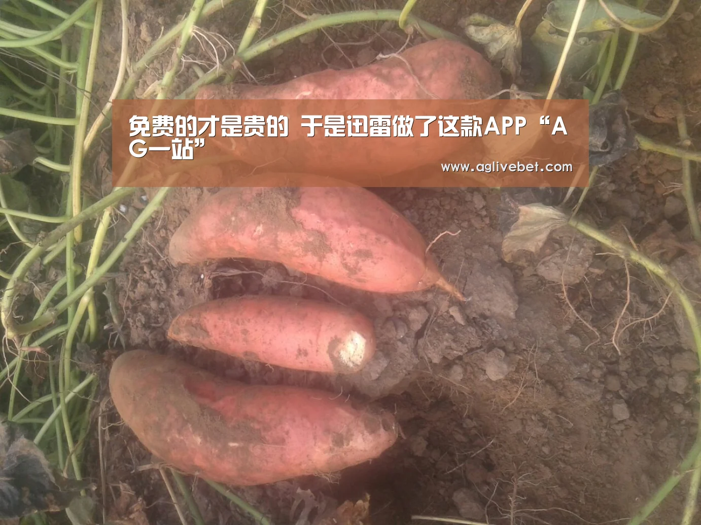 免费的才是贵的 于是迅雷做了这款APP“AG一站”(图2) AG体育
