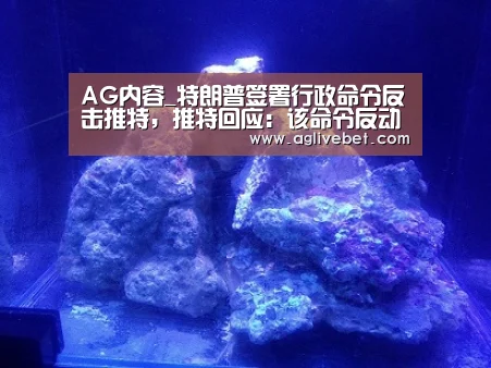 AG内容_特朗普签署行政命令反击推特,推特回应:该命令反动和政治化(图1) AG内容