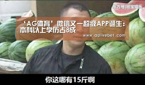 ‘AG体育’微信又一超级APP诞生:本科以上学历占8成(图1) AG体育