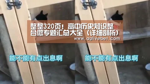 整整320页!高中历史知识整合微专题汇总大全(详细剖析)可打印_AG体育(图4) AG一站